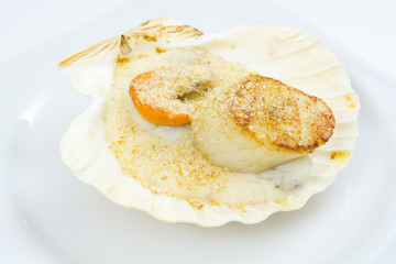 coquille saint-jacques