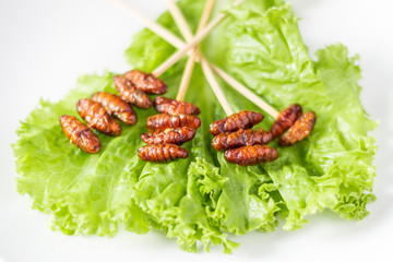 Insect foods set