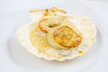 coquille saint-jacques