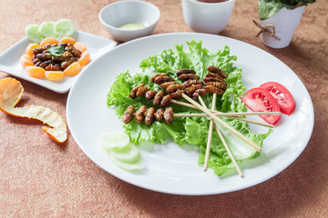 Insect foods set