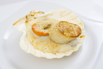 coquille saint-jacques