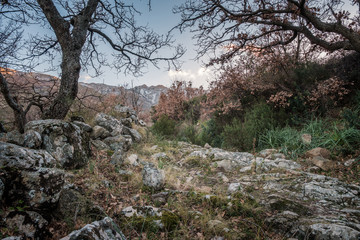 Rocky trail leading to snow capped mountain in Corsica
