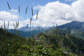 Fototapete bei efototapeten.de bestellen   