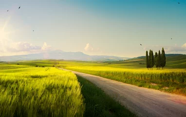 Tuinposter lente landbouwgrond en landweg  toscaanse platteland glooiende heuvels © Konstiantyn