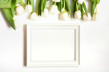 Frame for text and white tulip on white. Top view with copy space.