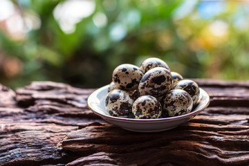 Quail eggs