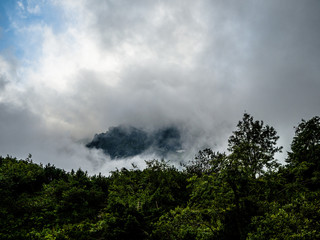 On the top of mountain with fog, cloud and forest.