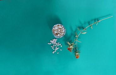 Safflower and its seeds on a green background.
