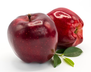 Red apples on white background