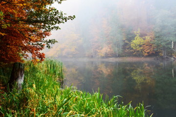 Piękny jesienny krajobraz, mgła nad jeziorem 