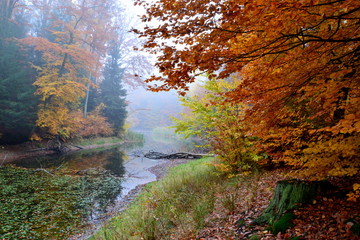 Piękny jesienny krajobraz, jezioro i las © VinyLove Foto