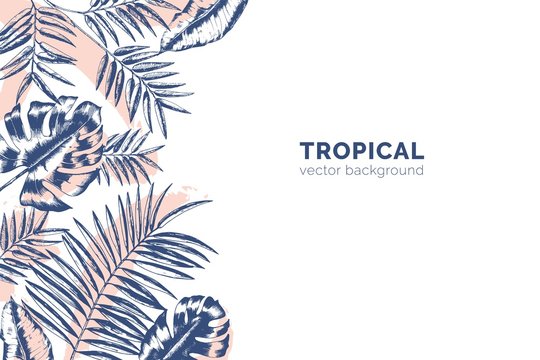 Horizontal background with tropical palm tree branches and Monstera leaves drawn with contour lines and paint stains. Backdrop decorated with foliage of exotic jungle plants. Vector illustration.