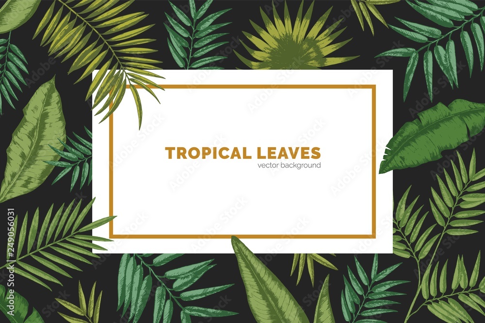 Poster horizontal background decorated by frame made of exotic palm tree branches, monstera and banana leav