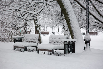 Avenue with a row of benches during strong wind and snowstorm at winter in Moscow, Russia. Scenic view of a snowy city street. Moscow snowfall background. Cold silent town alley.