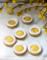 Homemade Easter lemon cookies and forsythia blooming twigs on a light background.