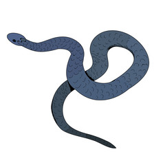 snake in isolation, vector