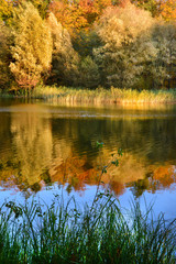 Piękny jesienny krajobraz, jezioro