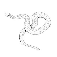 snake crawls, contour, design