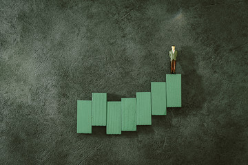 Business investment concept picture - Stock ups and downs histogram