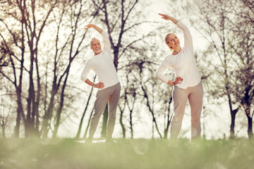 Fototapeta premium Mature couple doing morning gymnastics in park