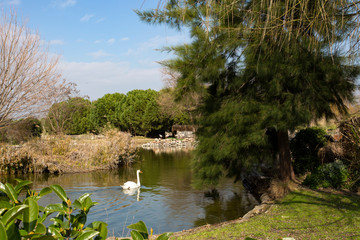 Izmır Natural life park (dogal yasam park) landscape (Izmir / Turkey)