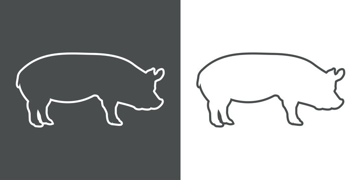  Icono plano lineal silueta de cerdo en gris y blanco