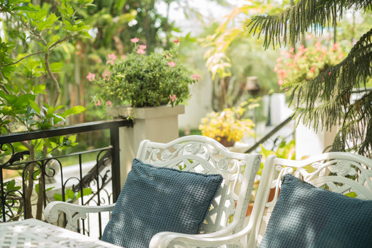 Wrought Iron White Chairs with Teal Cushions on a Cafe Terrace Surrounded by Plants and Trees with Bright Sunshine