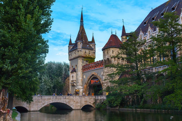 Fototapeta na wymiar Castle in Hungary Budapest