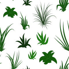 Seamless pattern with green grass. Vector image of bunches of grass with long leaves. Background or texture for fabric, clothing. Floral ornament.