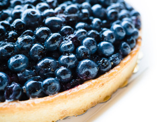 A blueberry cheese pie, cake on white background.