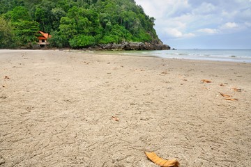 Fototapeta na wymiar Ghost or sand crab burrows on the beach with white sand, yellow leaves and rocky limestone cliff at Pathio District of Chumphon province of Thailand