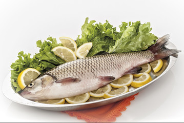 pesce di fiume cavedano crudo in vassoio con insalata verde altra inquadratura