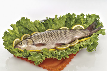 pesce di fiume cavedano crudo in vassoio con insalata verde