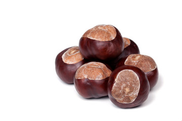 A pile of chestnuts, group of conkers isolated on white background, closeup