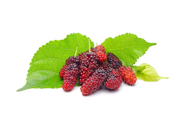 Mulberry : Fresh Mulberries with green leaves  isolated on white background.