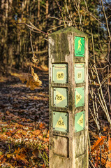 Little wooden pole with hiking directions in a forest near Zundert, The Netherlands