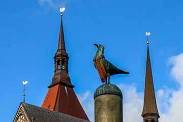 Frierende Taube wärmt sich mit Schal auf den Dächern von Rostock auf. Kirchturmspitze Winter Kalt...