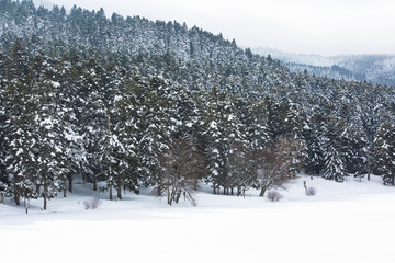 Golcuk / Bolu / Turkey, winter season snow landscape