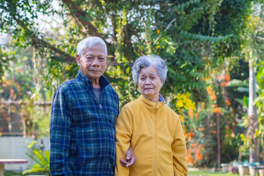 Portrait of romantic elderly man with his wife at home garden.
