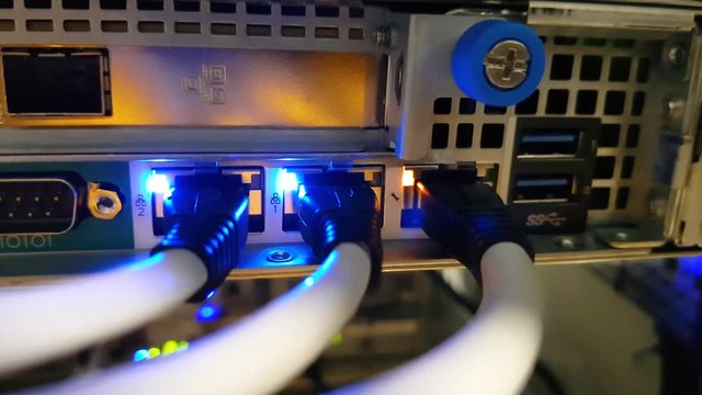 Close up of a ethernet UTP cables connected to the router switch in the IT room for internet access with blue blinking lights