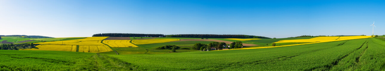 Panorama der Taunuslandschaft mit blühjenden Rapsfeldern im Frühling