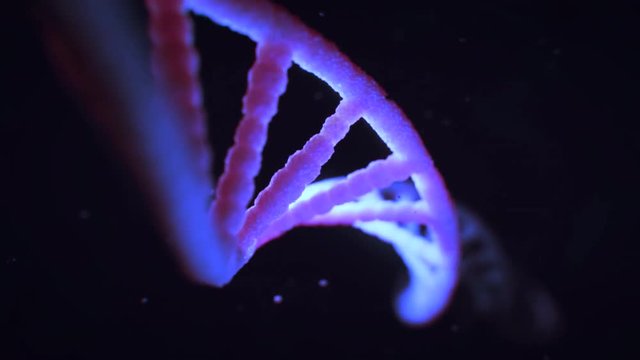 4K detailed dna scientific dimostration