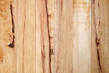 wood texture  (Hevea brasiliensis)