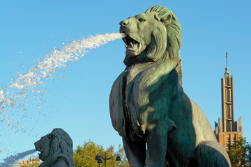 Lions fountain monument  of the Felix Eboué square in Paris