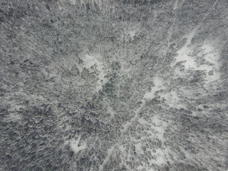 Road to winter snow-covered pine forest with quadrocopter