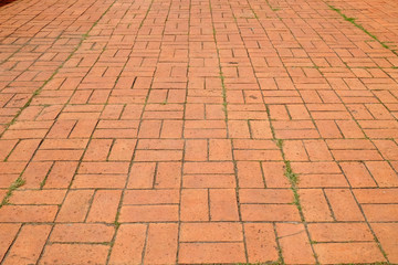 The brick path with grass