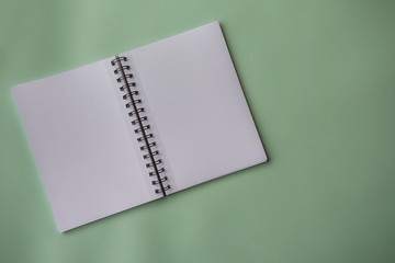 Plain empty notebook, on a green background with copy space