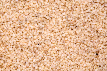 Sesame seeds isolated on white background top view