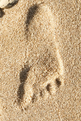 Beautiful footprints in the sand sea nature background