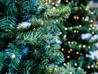 Christmas light bulbs with blurry Christmas tree, Christmas festival, holiday.
